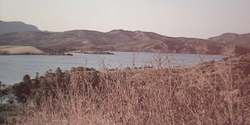 从崩溃到自愈：后端系统网络弹性设计模式全解析，前端开发者必读的容错指南