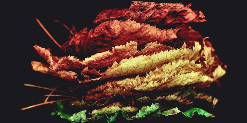 零信任架构:从原理到实践,重塑企业网络安全的终极指南 | 附资源与教程